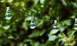 Ipsos|Green Economy