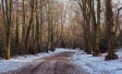 Natuur