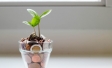 A glass filled with coins and a plant