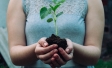 Earth Day 2021: Only 3 in 10 Britons think the Government has a clear plan to tackle climate change - Ipsos