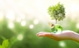 sustainability