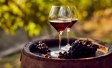 Vino & Spirits in Italia, nel 2020 boom dell’eCommerce e di investimenti nel digital