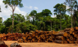 Global survey finds broad support for taxing and labeling products using scarce natural resources 