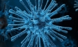 Three-quarters of Britons support quarantining cities and towns to prevent the spread of coronavirus | Ipsos