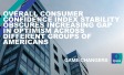 The words "Overall consumer confidence index stability obscures increasing gap in optimism across different groups of Americans"