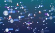 Social media, scoprire le nuove tendenze online attraverso strumenti di Social Intelligence basati sull’intelligenza artificiale (AI)