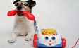 Don't Give The Dog A Phone - Ipsos