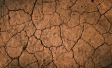 Ipsos | World Economic Forum | WEF | Global Warming | Climate Change | Environment