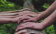 Ipsos | CSR & Reputation Research | Volně Prodejná Studie