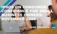 Ipsos on Consumer Confidence for Small Business Owners: November 2022