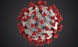 Ipsos | COVID | Coronavirus | Global Advisor