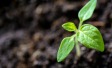 Ipsos Earth Day 2023 Survey