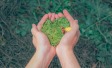 Ipsos Earth Day 2023 Survey