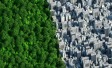 AFR ESG Summit