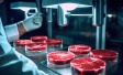 Im Labor künstlich hergestelltes Fleisch
