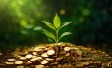 Investitionen in Green Business