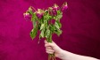 Valentines Day 2024