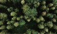 Ipsos | Earth Day | sustainability | climate change