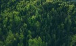 Ipsos | Earth Day | Environment | Climate change
