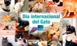 Día internacional del gato 2023