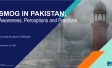 Ipsos Survey on Smog in Pakistan
