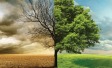 Demand for business leaders to speak out on social and political issues rises, amid growing alarm about climate change and coronavirus
