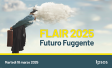 Ipsos Flair 2025