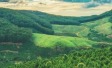 Climate Action: Ipsos’ near-term and net-zero targets validated by the Science Based Targets initiative (SBTi)