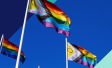 flagi LGBTQ