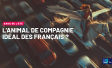 Saga de l'été Ipsos bva Commmunautés