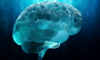 European Neurologists’ Opinions on Alzheimer’s Disease