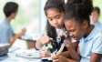 education monitor