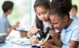 Education Monitor