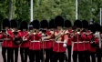 Royal Guards
