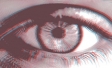 Perils of Perception 2017