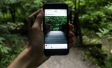 Instagram’s Impact on Indonesian Businesses | Ipsos