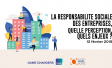 la RSE, quelles perceptions, quels enjeux?