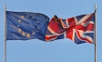 Ipsos survey on Brexit for Chambers of Commerce