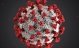 Understanding the coronavirus crisis | COVID-19 | Ipsos | Signals