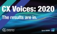 CX Voices 2020 | Ipsos