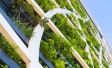 Sustentabilidade| Edifício verde| Ipsos | Ipsos Apeme