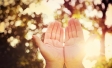 Sustainability Say-Do gap