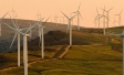 Sustentabilidade