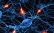 neuro