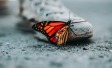 Ipsos | sustainability | environment 