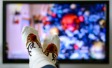 Ipsos | Advertising | Christmas | Belvedere