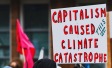 protester sign capitalism