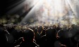 crowd at a concert