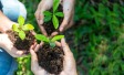Sostenibilità e preoccupazione per l'ambiente: a chi importa veramente?