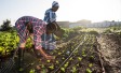 Ipsos | ESG | South africa